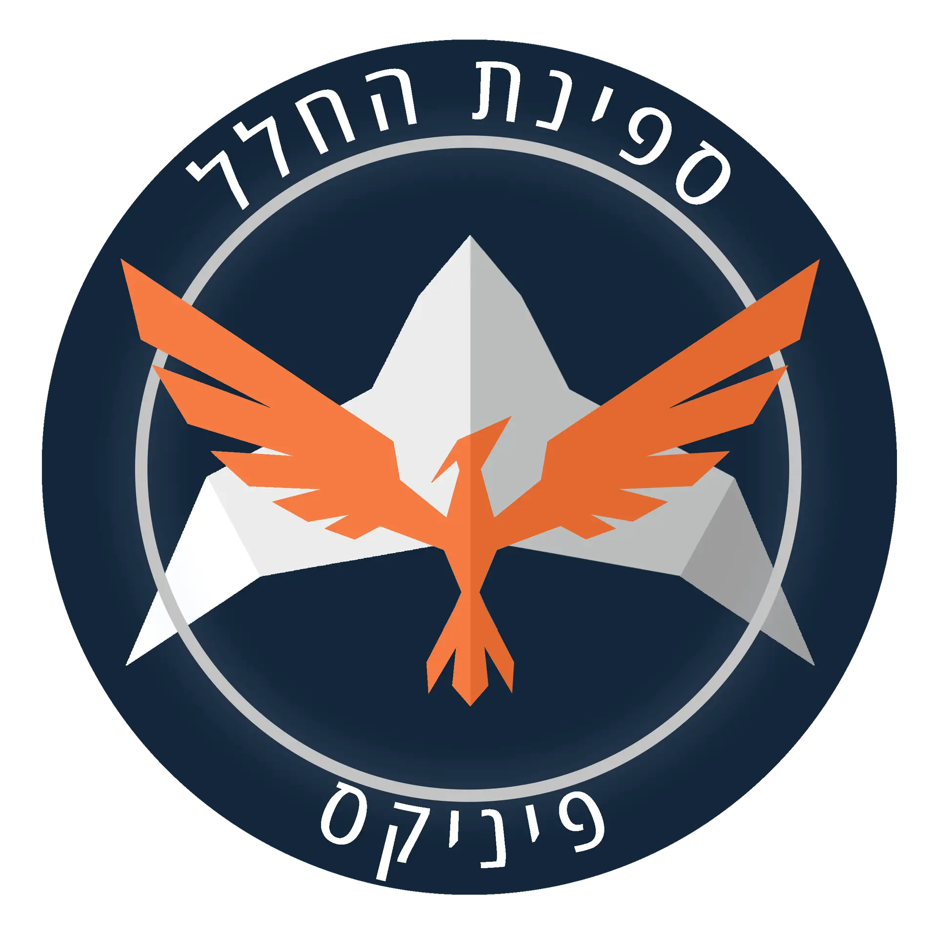 לוגו ספינת החלל